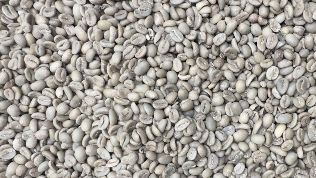 Arabica Full Wash