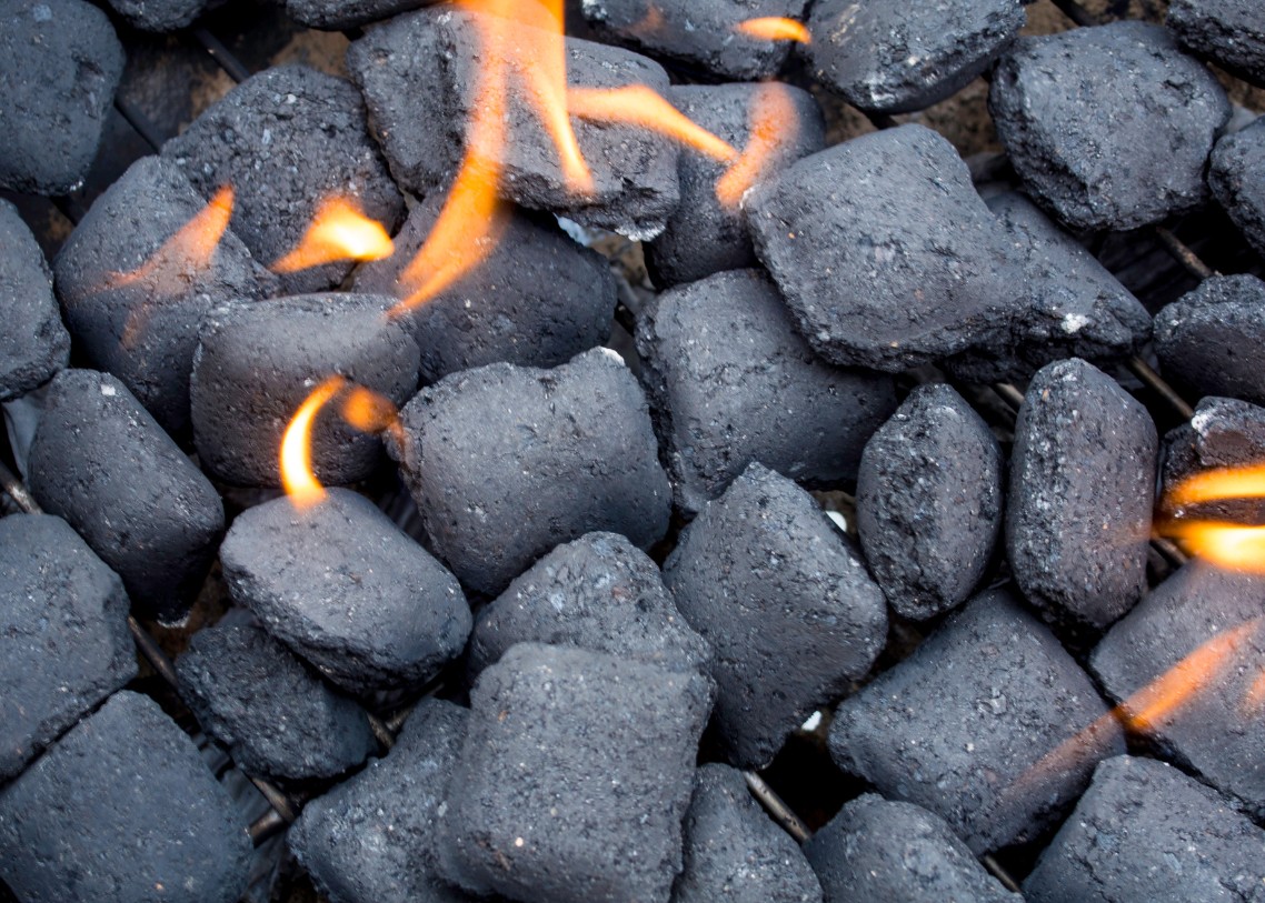 Briquette product 2