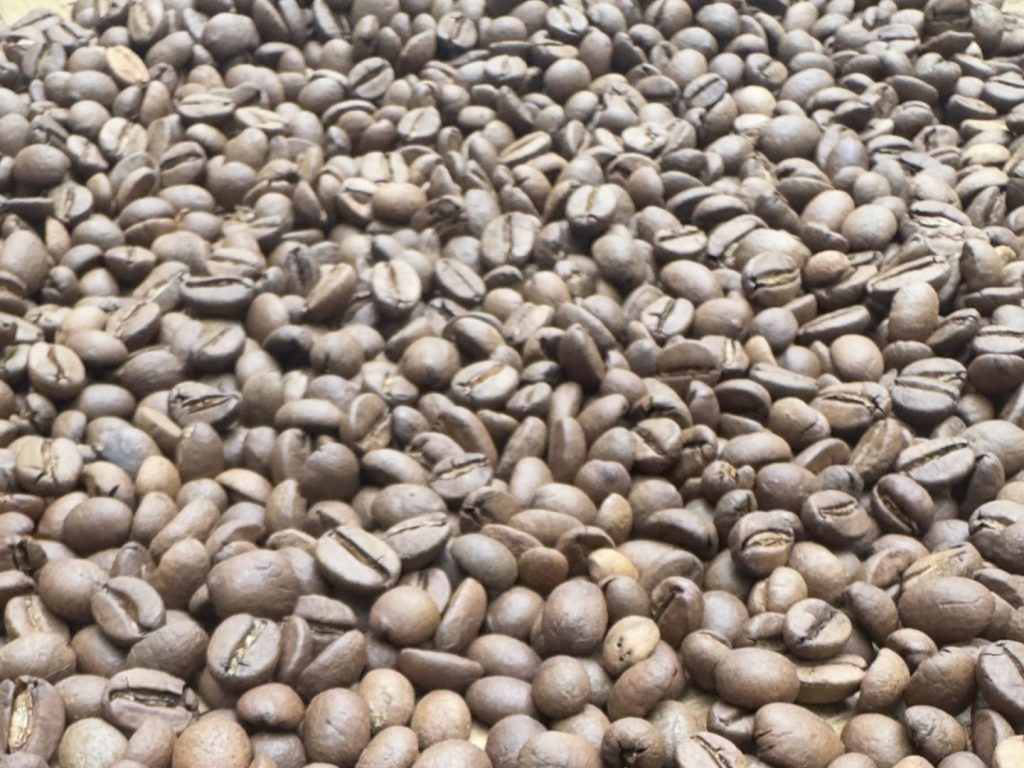 roasted arabica beans